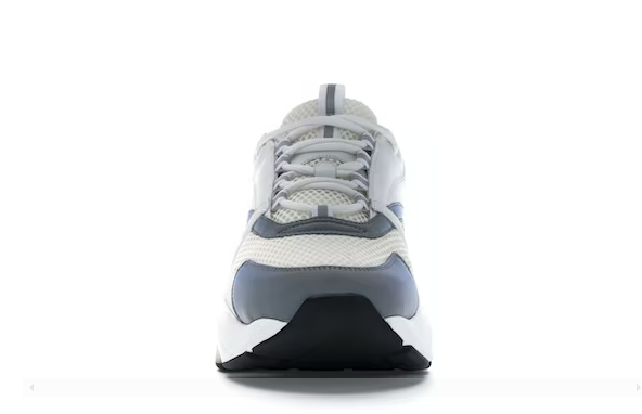 Dior B22 White Silver