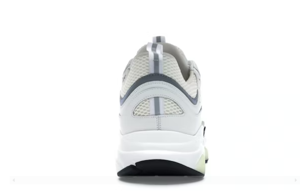 Dior B22 White Silver